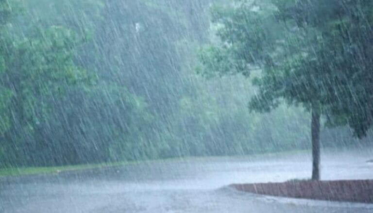 ખૈલેયાઓના થનગનાટ વચ્ચે આજે વરસાદની આગાહી