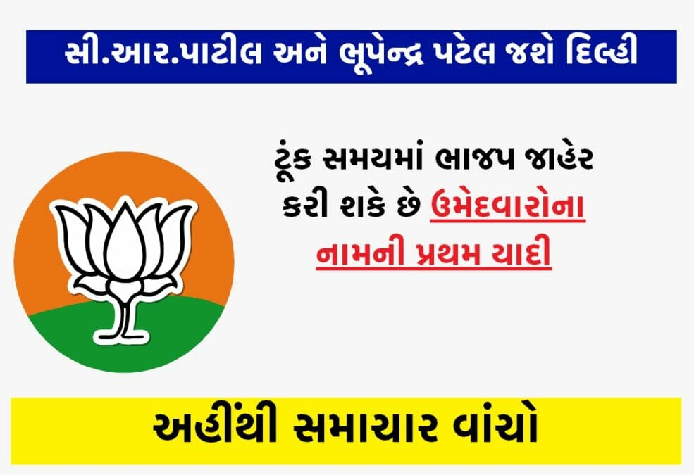 મુખ્યમંત્રી અને સી.આર.પાટીલ દિલ્હી જઈ કરશે ઉમેદવારોના નામની ચર્ચા