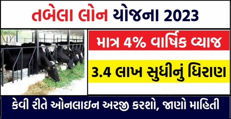 Tabela Loan in Gujarat 2023