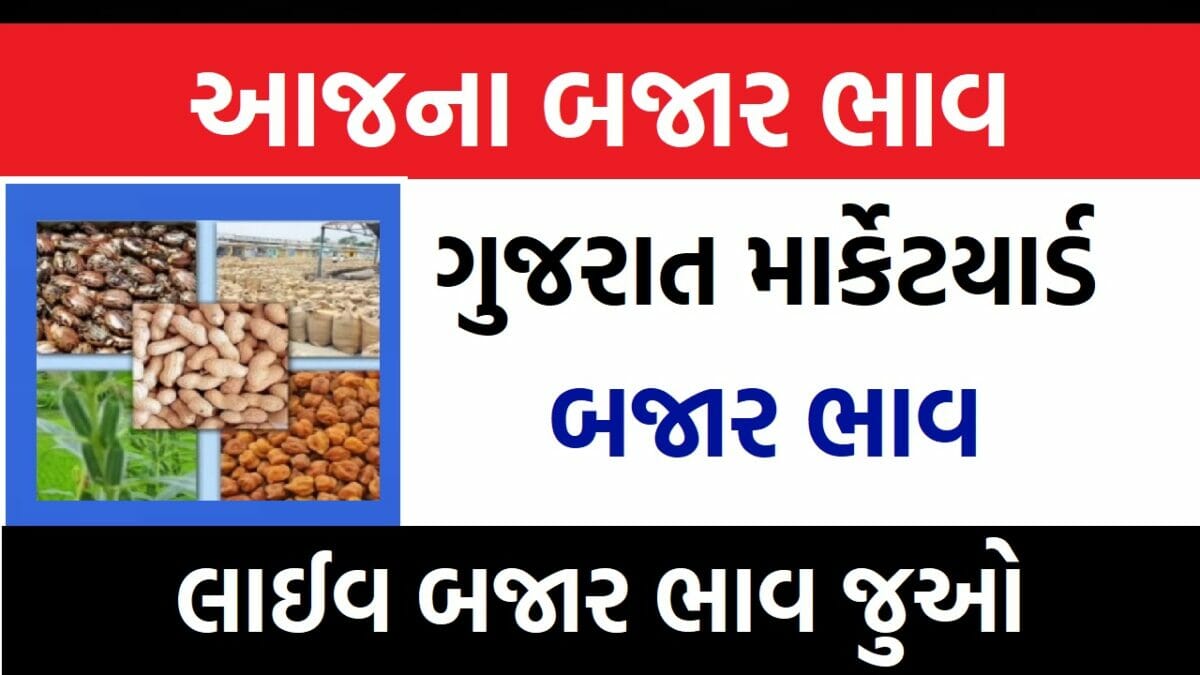 Gujarat Bajar Bhav 2023