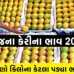 કેસર કેરીના ભાવ 2023