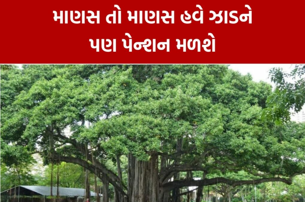 2500 rupees pension for 75 years old trees