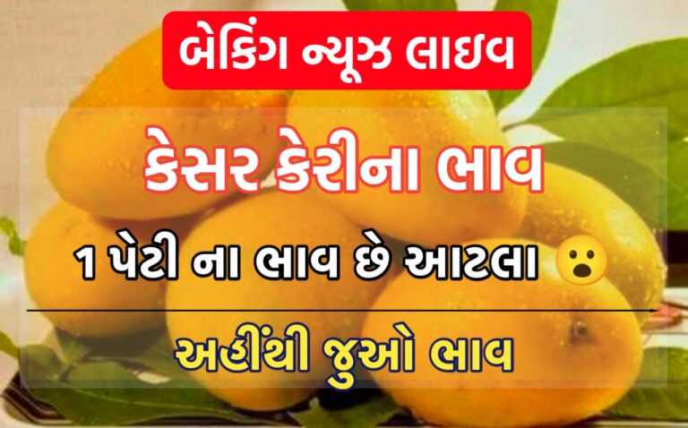 Today Kesar Kerina Bhav